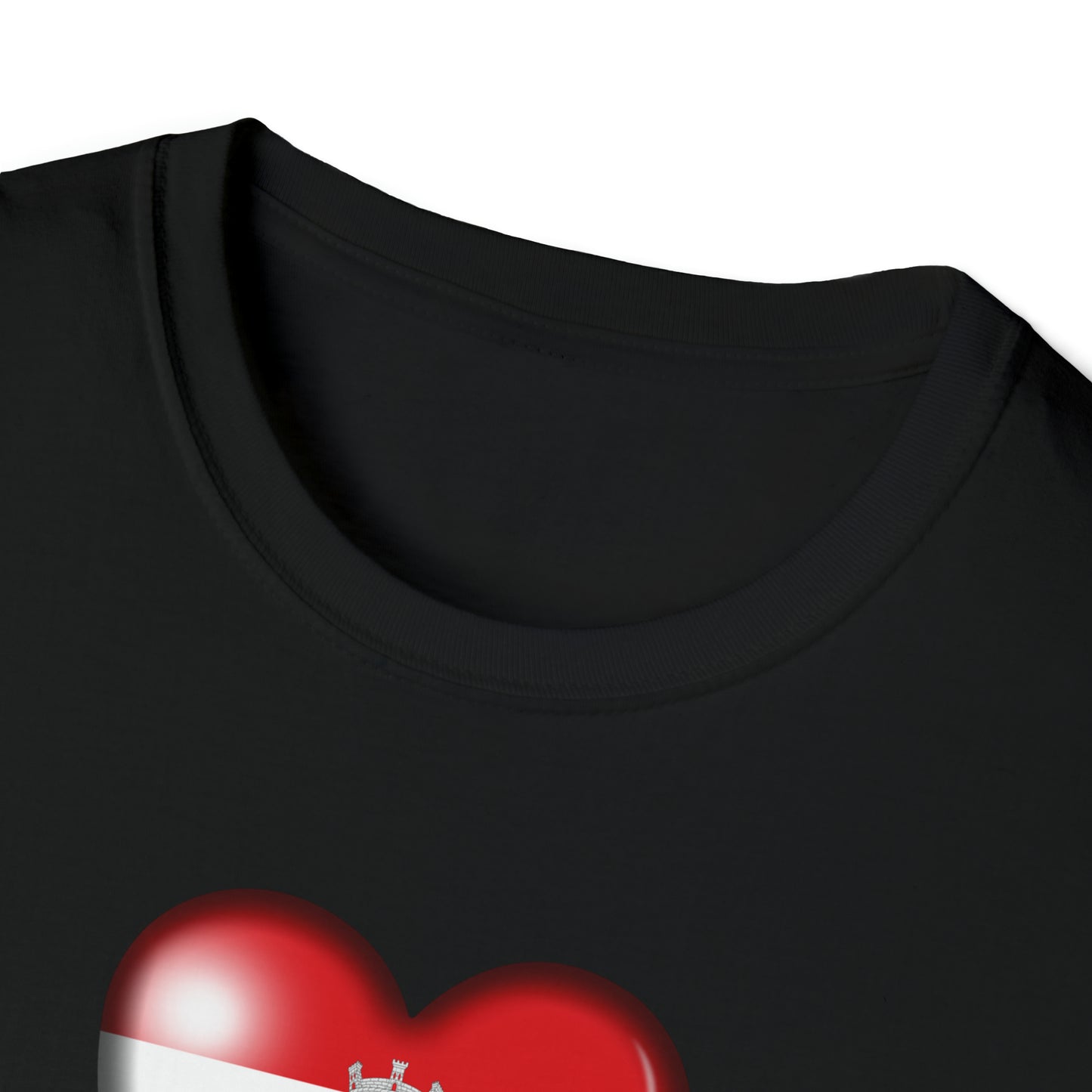 Fajardo PR Unisex Softstyle T-Shirt
